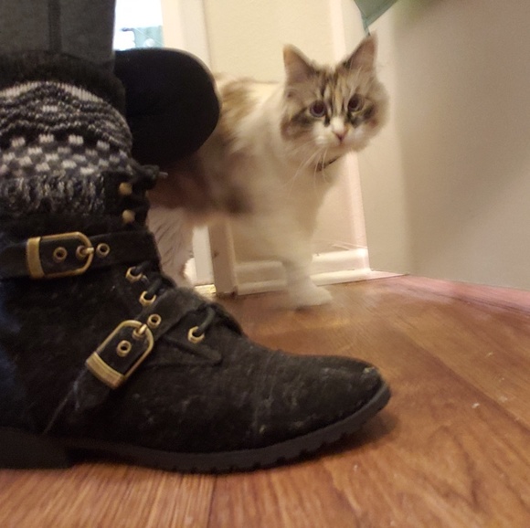 Black and grey flat ankle boots with buckl… - Picture 2 of 5